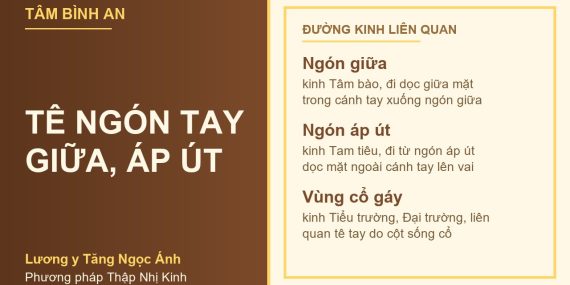 Tê ngón tay giữa và áp út - Lương y Tăng Ngọc Ánh, phương pháp Thập Nhị Kinh
