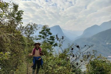 Dự án trồng bảo tồn cây dược liệu