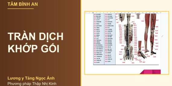 Tràn dịch khớp gối - Lương y Tăng Ngọc Ánh, phương pháp Thập Nhị Kinh