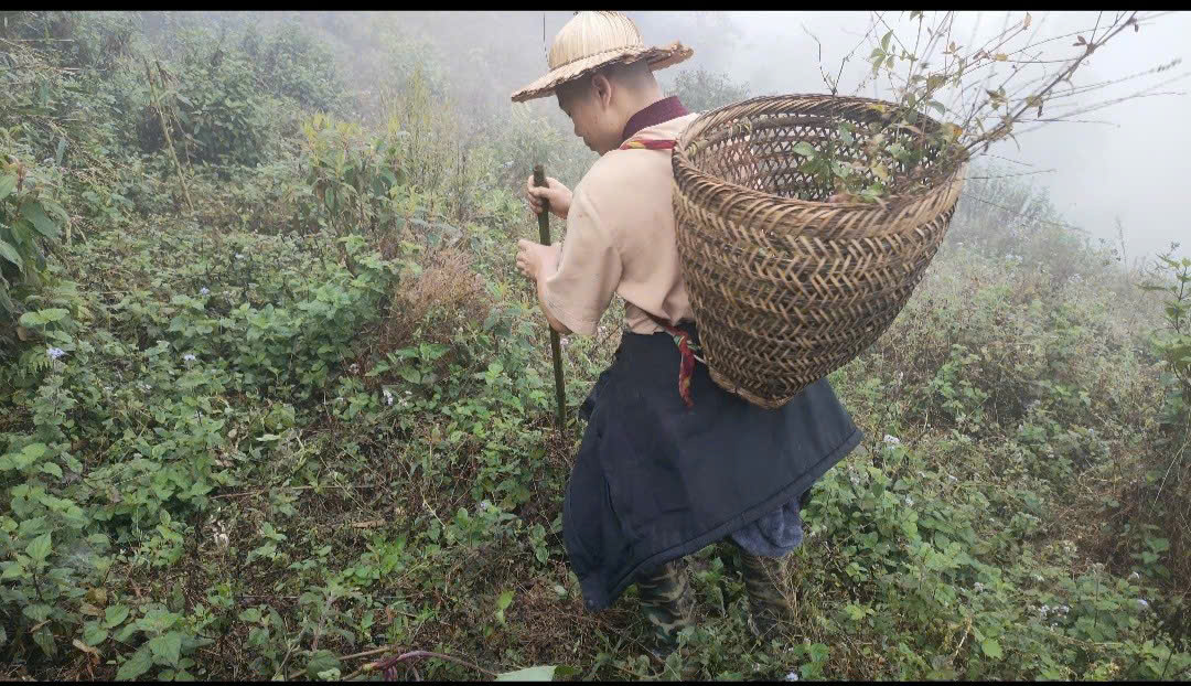Tăng Ngọc Ánh
